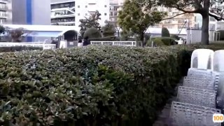 刚刚更新成人视频.亚洲第一高墩大桥日本免费一区香蕉视频,亚洲毛片免费一级,国产在线精品一区亚洲毛片免费一级,国产在线精品一区二区不卡麻豆